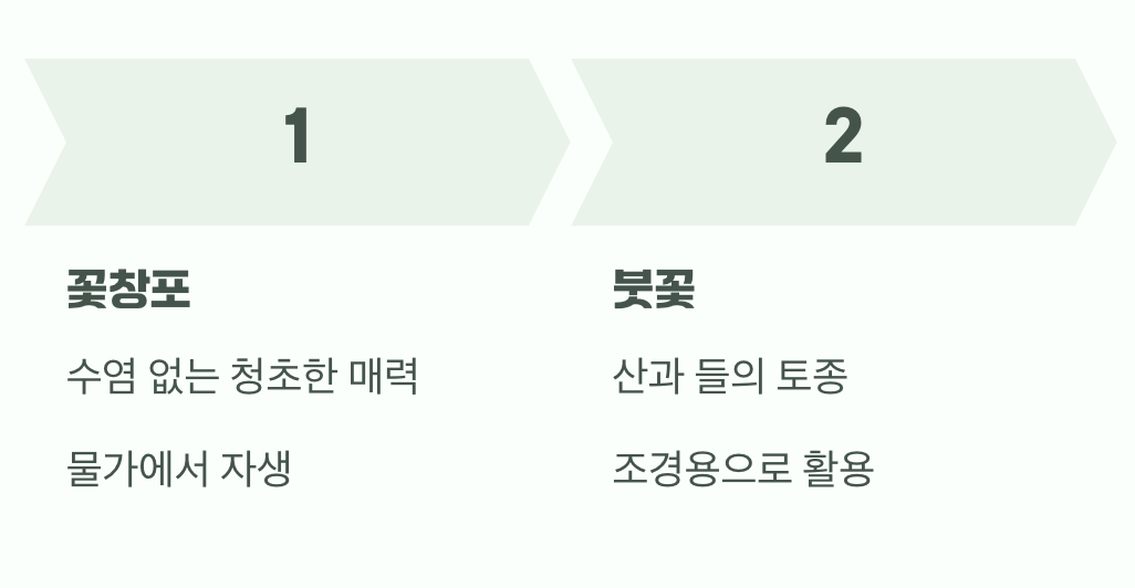 우리 곁의 친숙한 얼굴들
