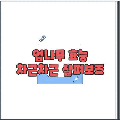 엄나무 효능 차근차근 살펴보죠