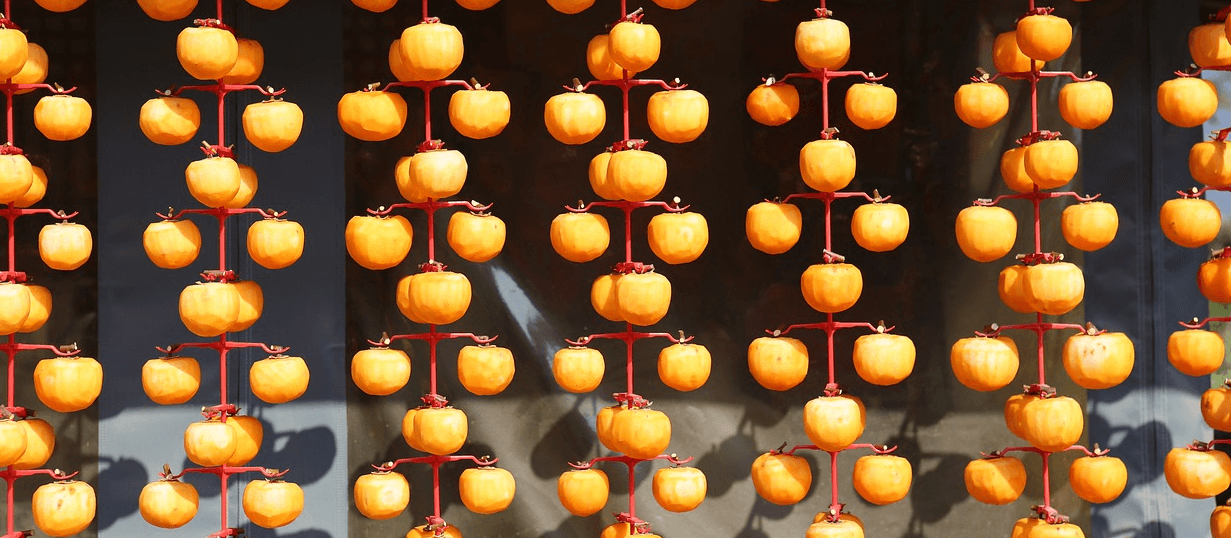 곶감과 감의 사진 - 11