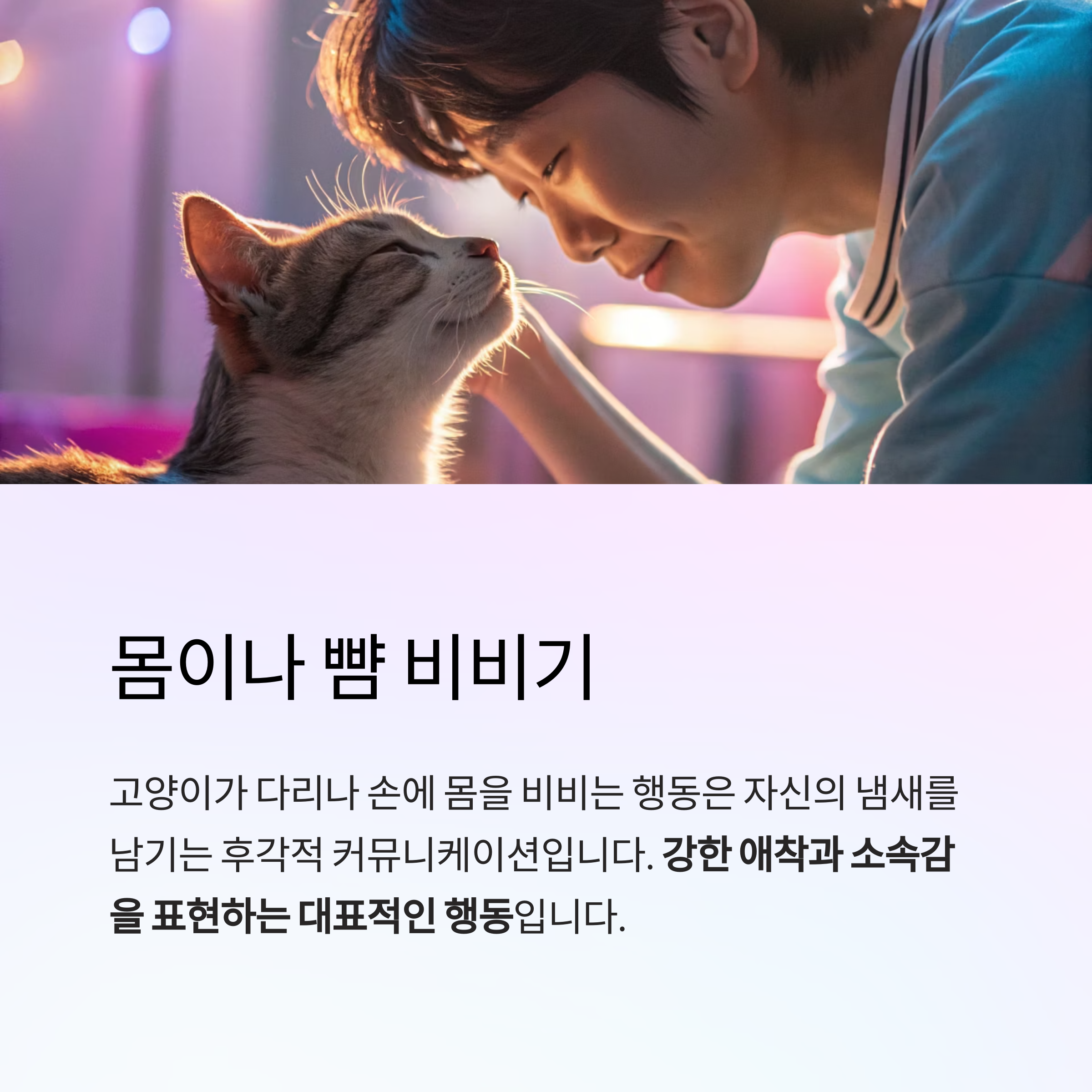 몸이나 뺨 비비기