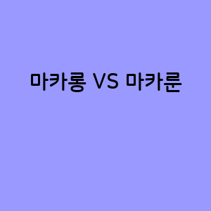 마카롱과 마카룬