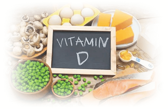 비타민 D 풍부한 음식