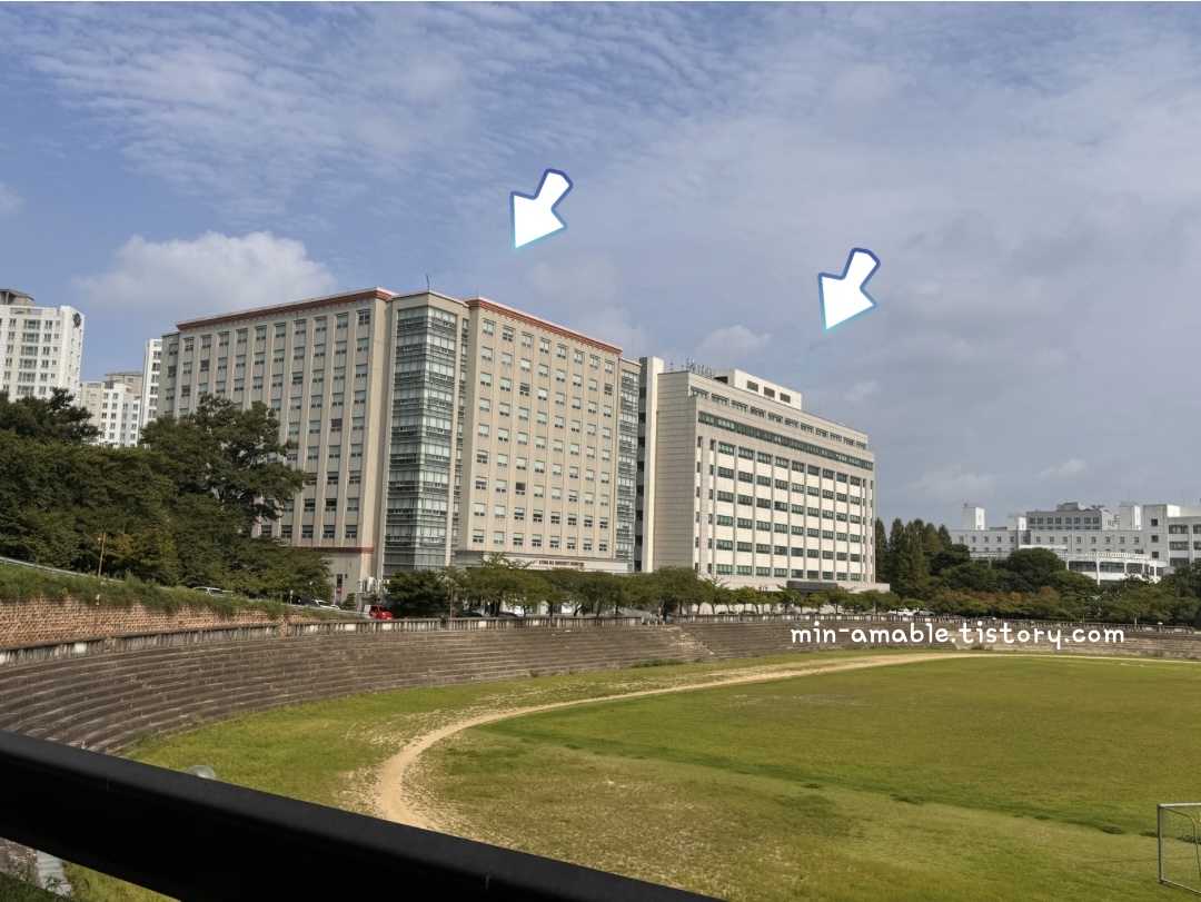 경희대학교국제캠퍼스