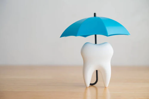 치과치료 의료비 연말정산 11