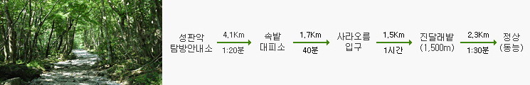 한라산등반코스 쉬운 코스 부터 백록담 가는 탐방로 까지 완벽 정리 5