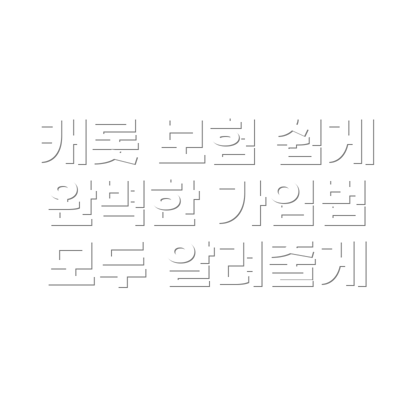 자동차 보험 단독 가입