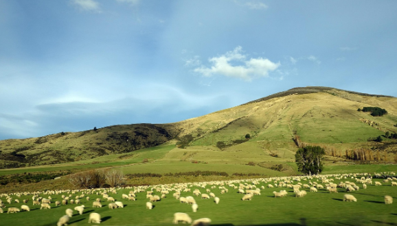 웰니스 여행, 진짜 힐링되는 국내 스팟 추천