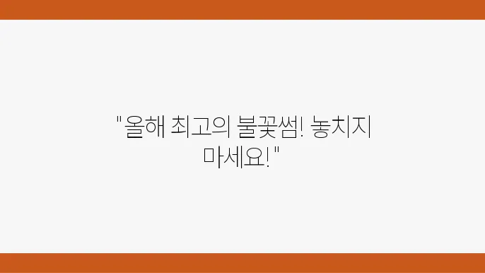 피나클랜드 불꽃축제 2024, 꿀팁과 유용한 정보!