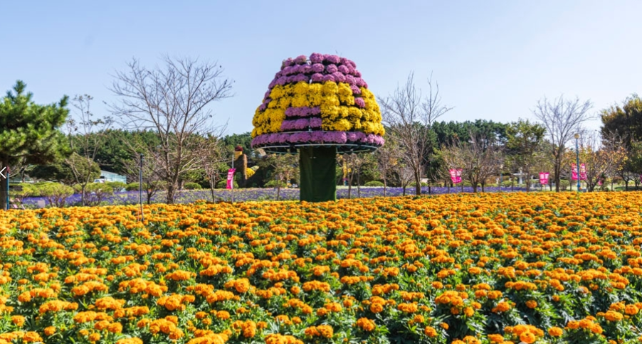 2026 태안국제원예치유박람회 일정 입장료 할인 예매 프로그램 사전예약 방법