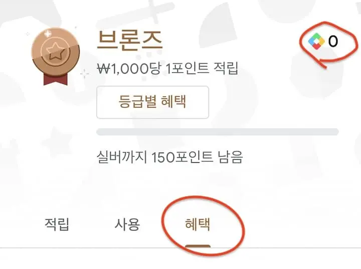 플레이 스토어 포인트