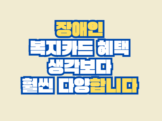 장애인 복지카드 혜택