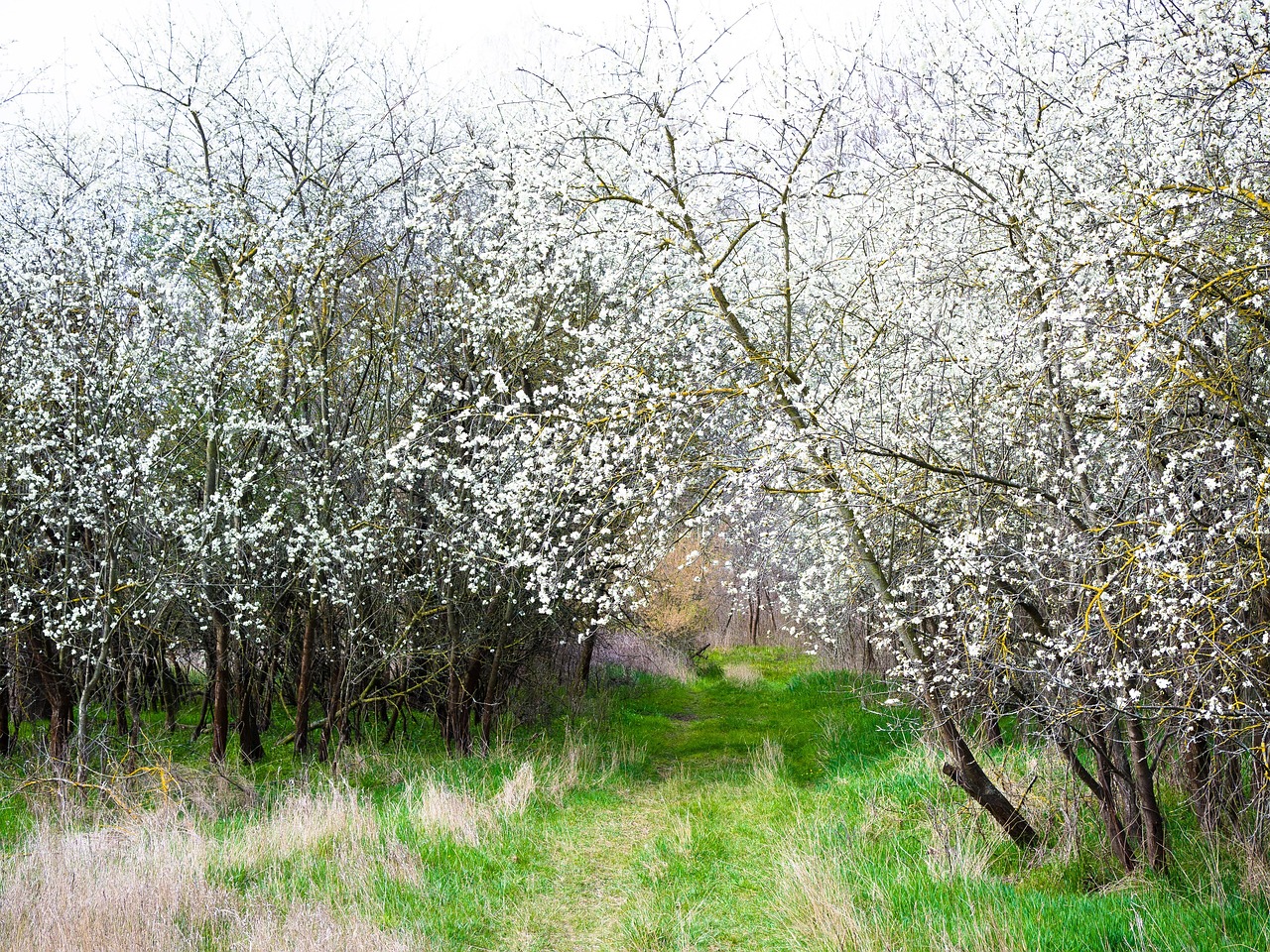 변덕스러운 봄 날씨, 건강 지키는 생활 습관 관련사진