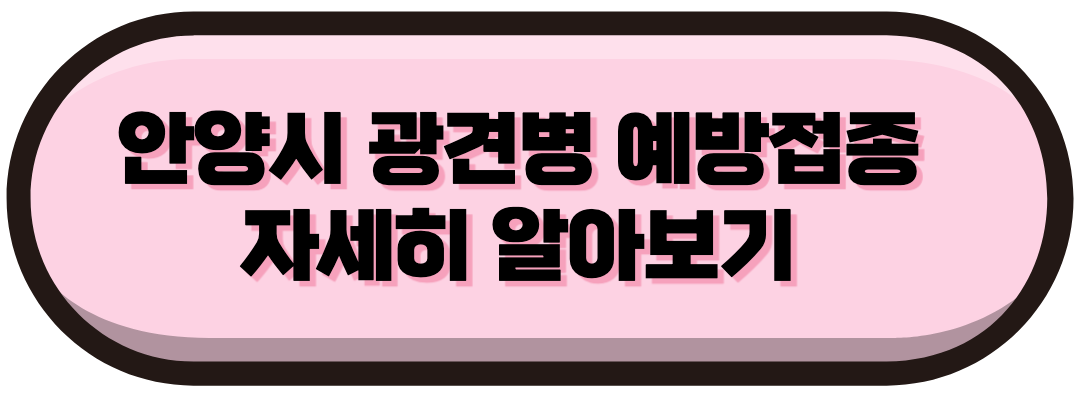안양시