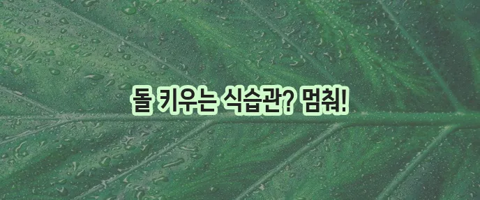 요로결석에 나쁜음식 5가지