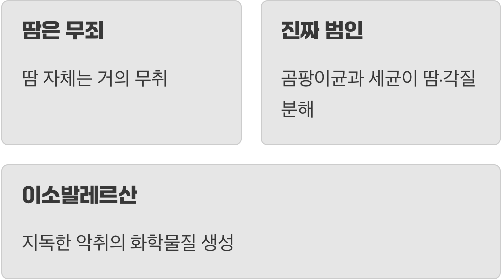 냄새의 진짜 범인은 땀이 아니다