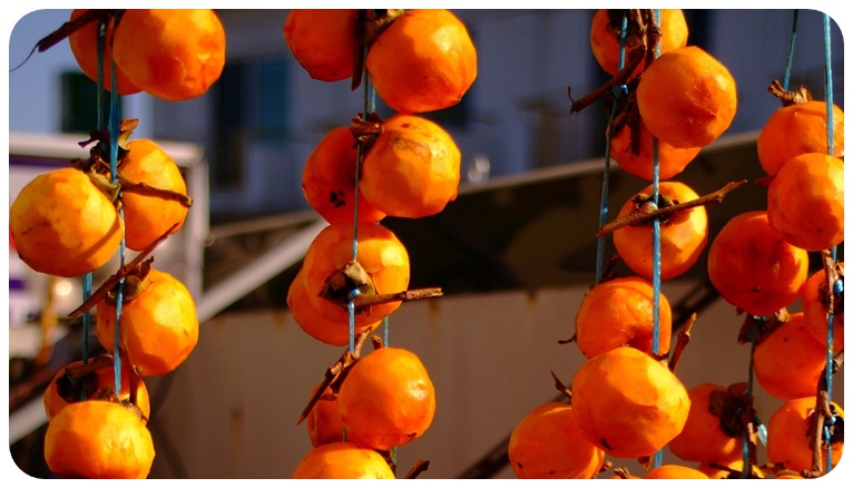 곶감의 주요 영양 성분