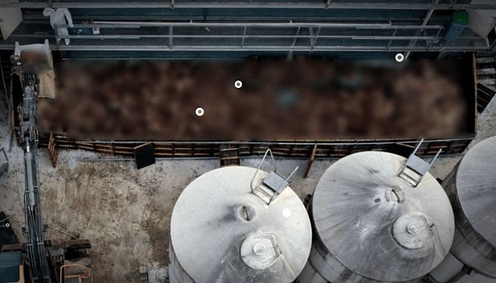 조류인플루엔자