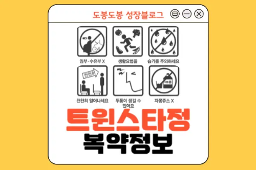 트윈스타정 복약 정보 이미지