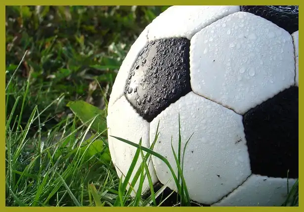 축구 중계방송 바로보기 (한국 팔레스타인)