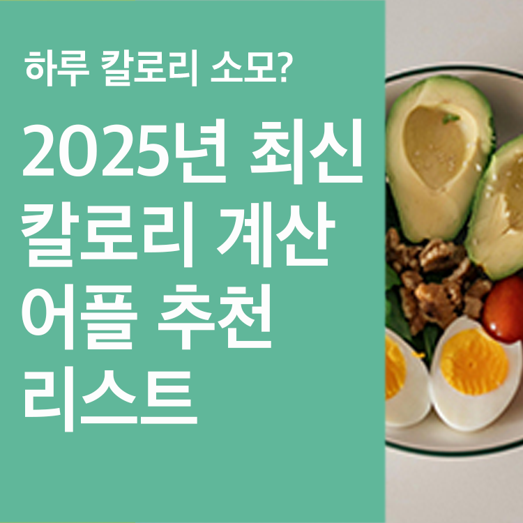 칼로리 계산기 어플 추천