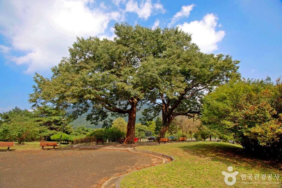 계룡 가볼만한곳 베스트10
