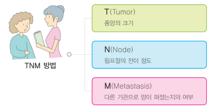 기스트(GIST&amp;#44; 위장관 기질 종양) 진단3