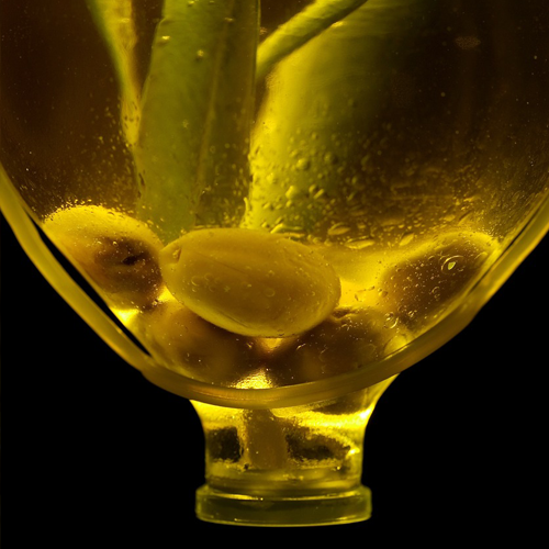 올리브오일효능과부장용