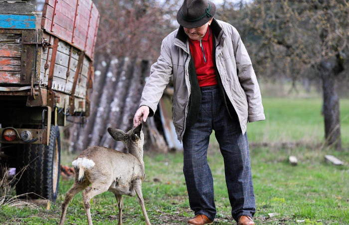 노인일자리 사업이란?