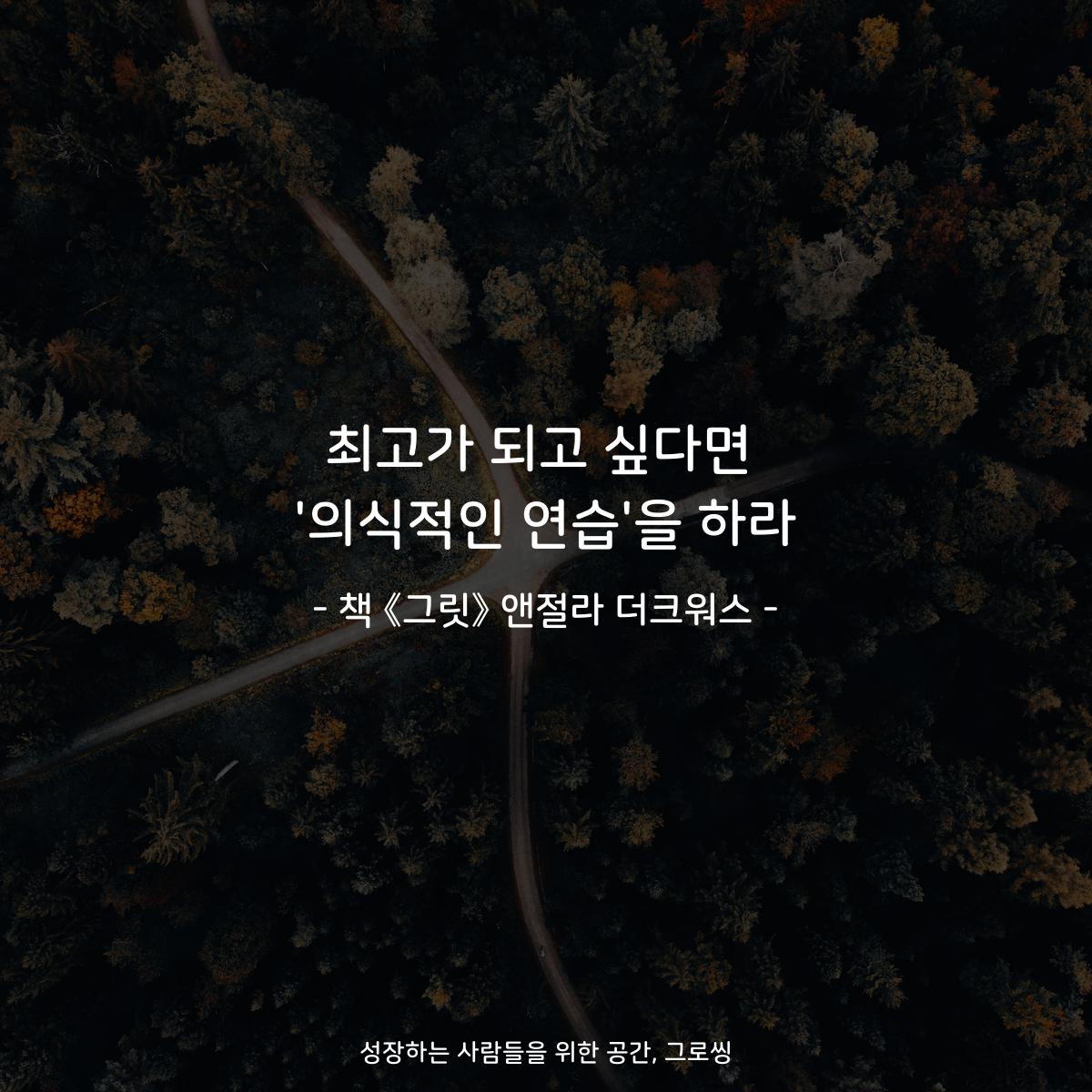 최고가 되고 싶다면
'의식적인 연습'을 하라