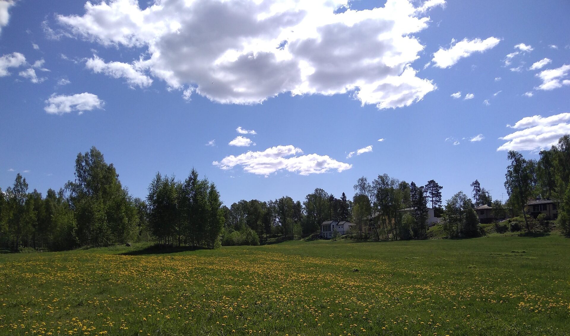 봄철 공기질 관리 방법 총정리: 환기 타이밍부터 공기청정기 필터까지