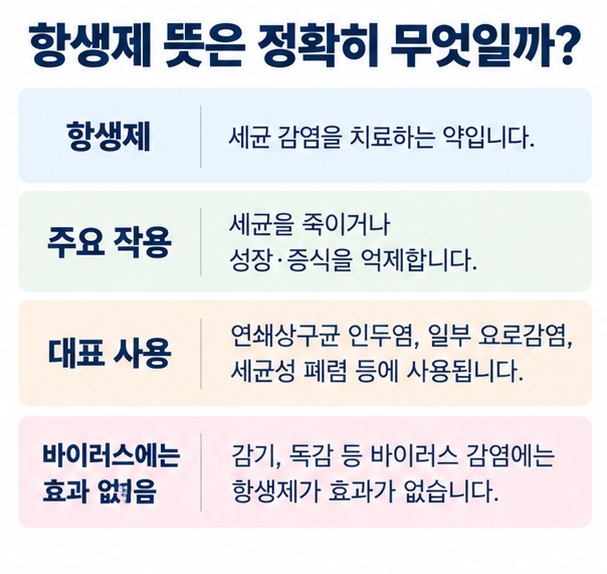 항생제의 의미 주요 작용 대표 사용 예 효과 없는 바이러스 감염을 정리한 표