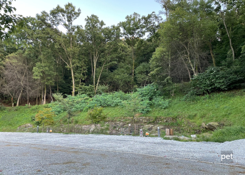 경기-인천-스톤캠핑장-예약-방법-애견-동반-가격-주소-시간-후기