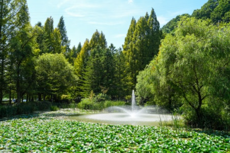 안동 낙강물길공원