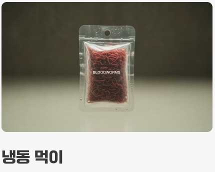 먹이 - '영양 만점' 특식이 필요해요