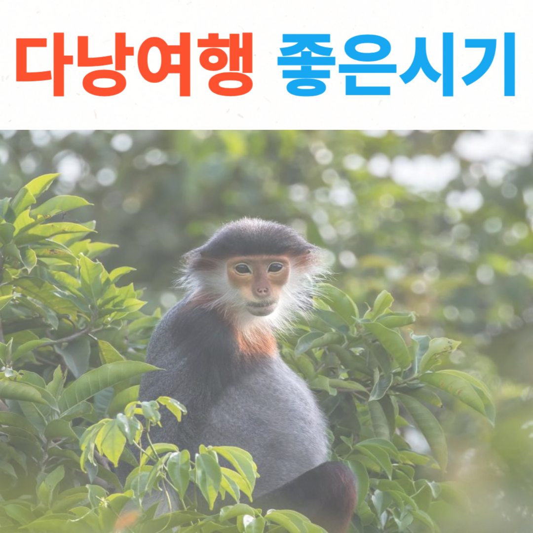 다낭-여행하기-좋은시기