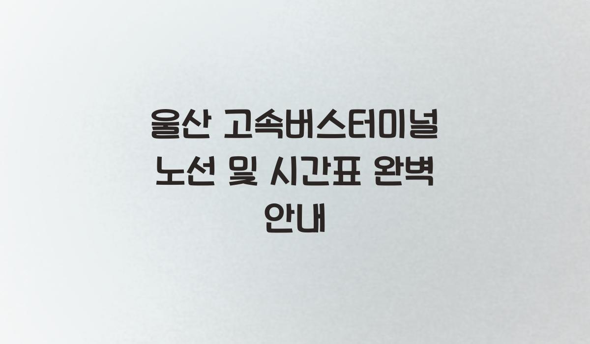 울산 고속버스터미널 노선