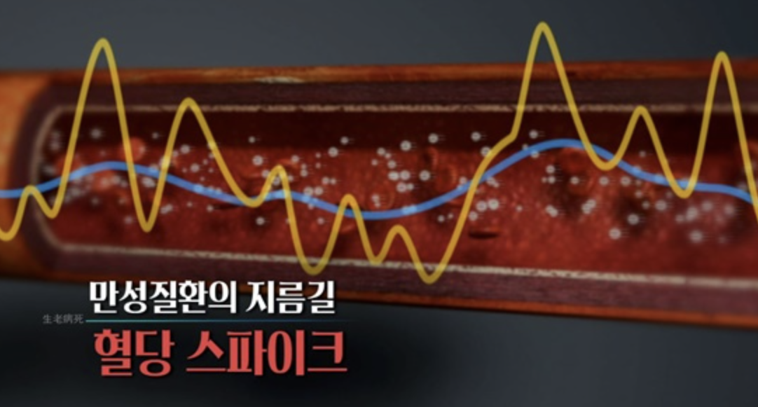 만성질환의 지름길 혈당스파이크