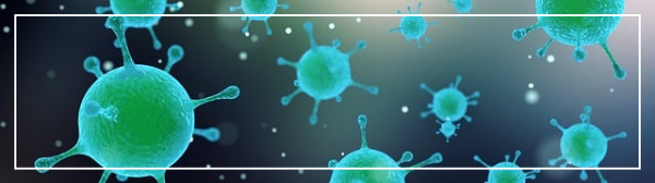 B형 간염 바이러스