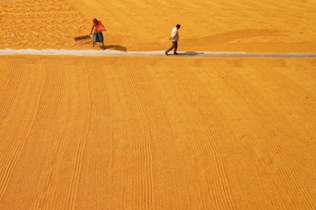 Farmers' subsidy