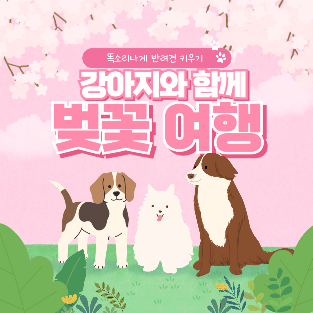 강아지와 벚꽃여행