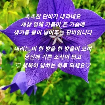 비오는날 안부 인사 건강 챙기는 말 안전 운전 당부 문장_16