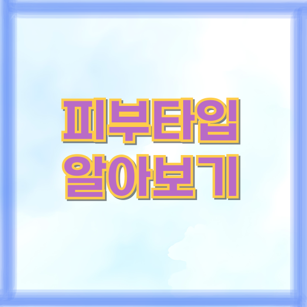 피부타입 알아보기