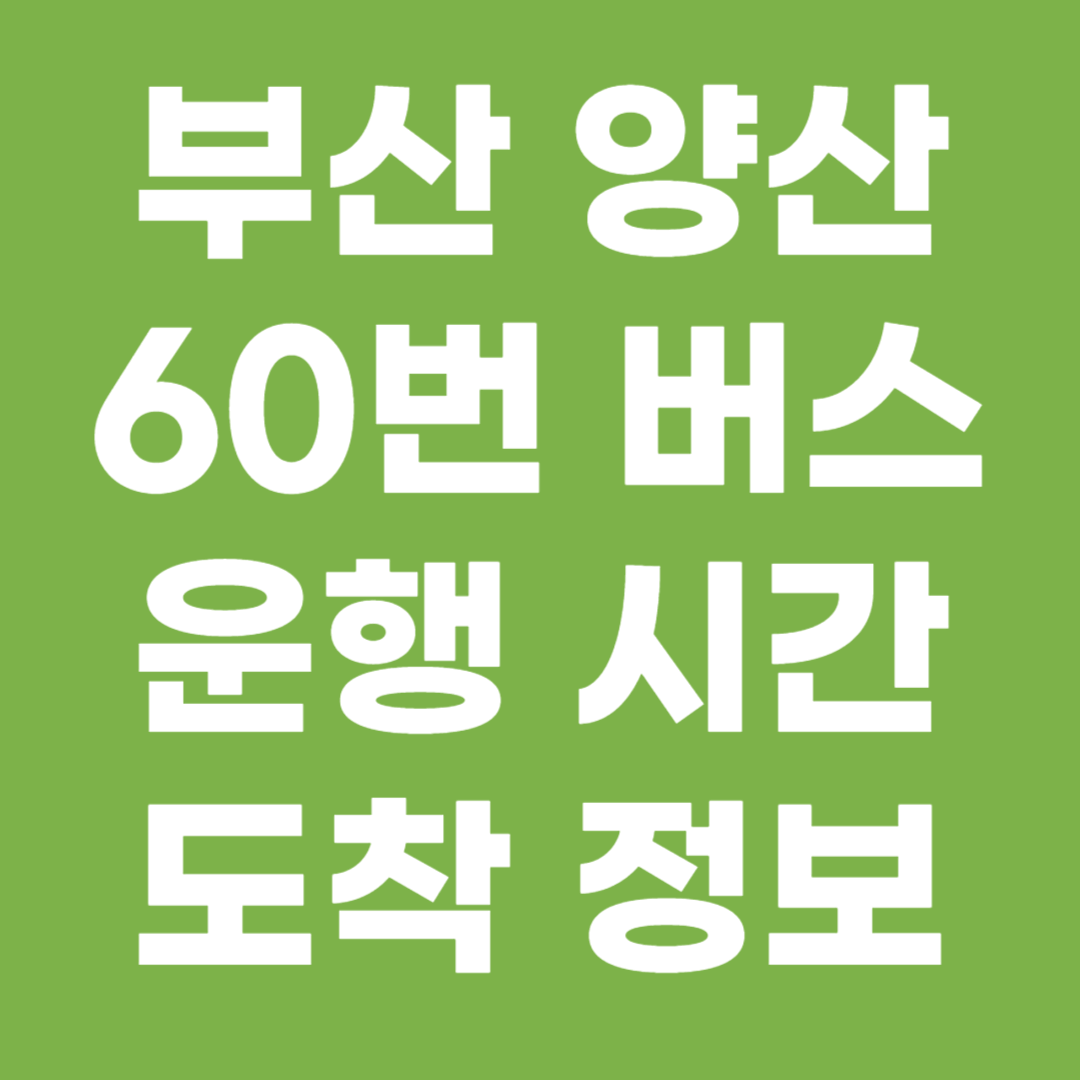 부산 양산 60번버스 노선 도착정보