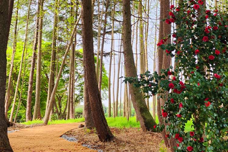 익산 아가페정원