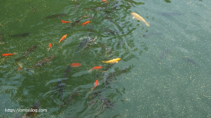 성지곡수원지(聖知谷水源池)