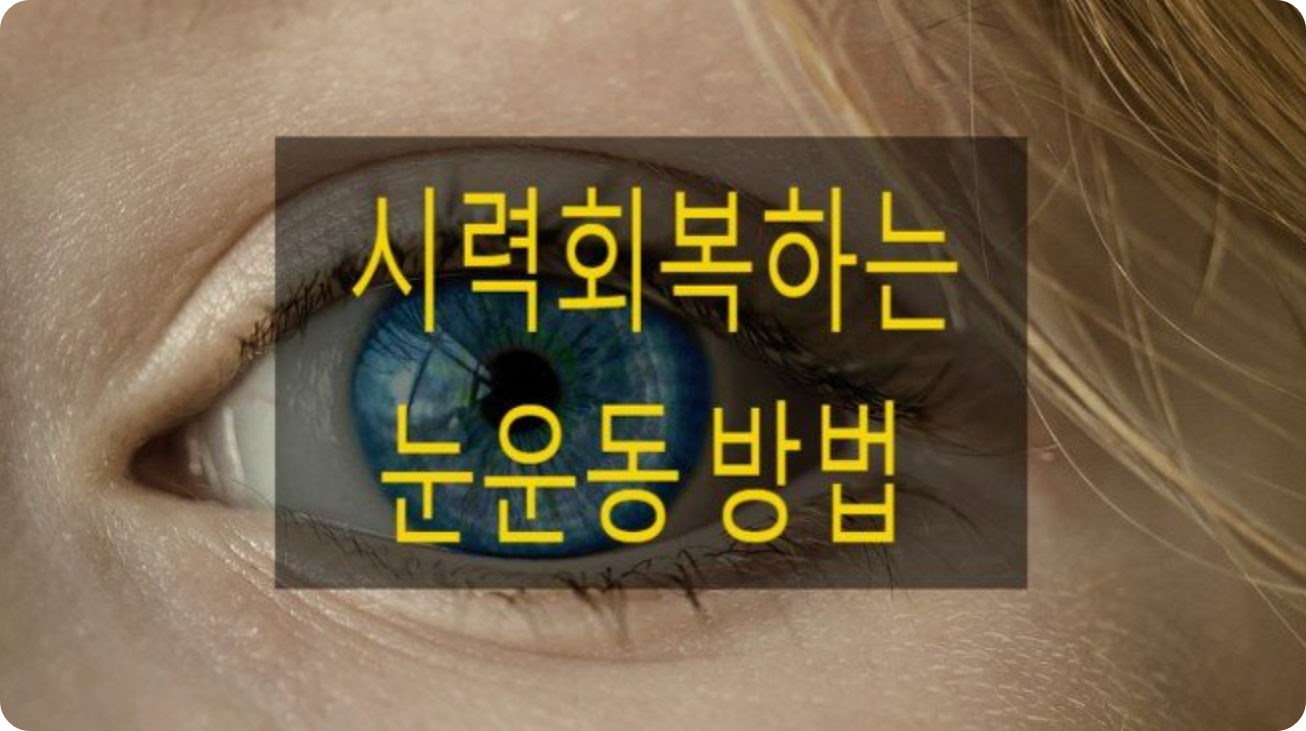 눈 운동