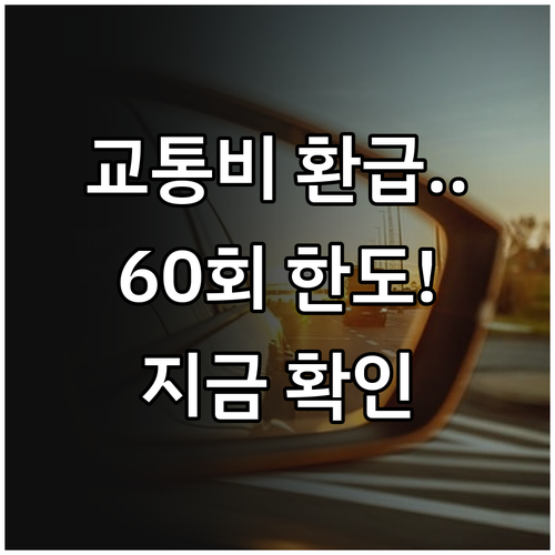대중교통비 절약하는 모두의카드 환급 ..