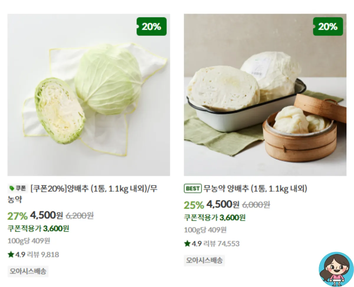 오아시스마켓-무농약양배추-가격