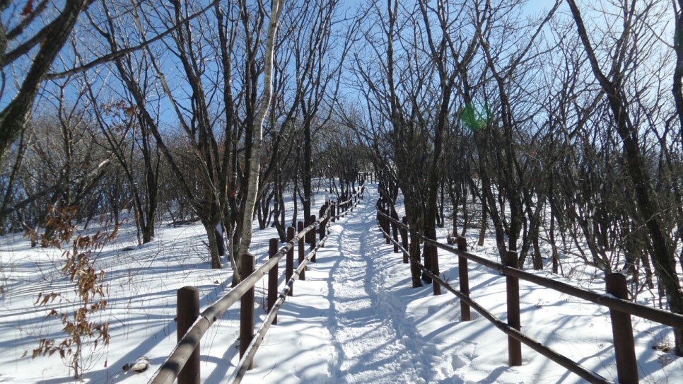 100대 명산 등산하기 여섯번째 작지만 하얗고 순수한 산 언제 올라가도 다시 가고 싶은 산 소백산