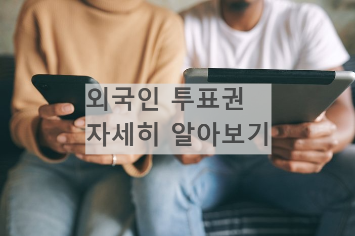 중국인 일본인 미국인 투표권 지방선거투표